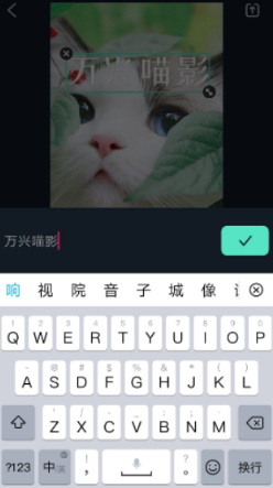 日韩精品久久久久喵影-手机端快速编辑字幕