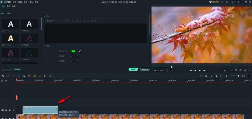 添加文字特效提升视频效果