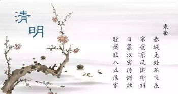 清明节文案-清明节文案的重要性