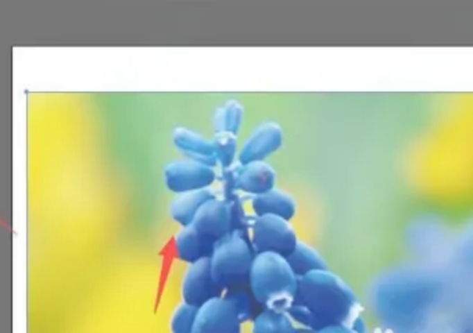 步骤一：新建画布