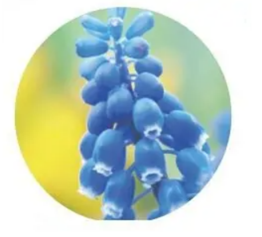 步骤三：剪切蒙版