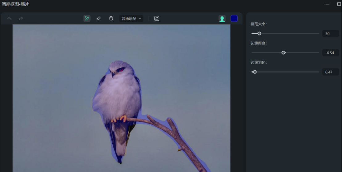 步骤三：主体抠图