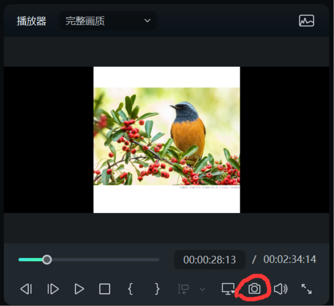 步骤四：点击快照生成图片