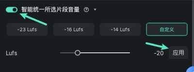 应用音量标准化设置
