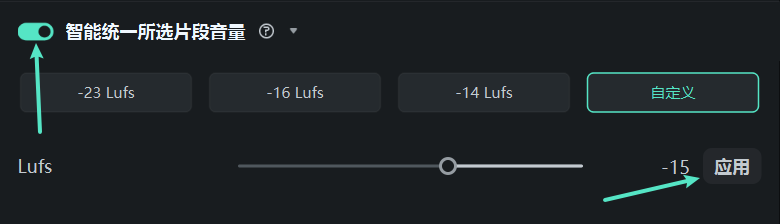 应用音量标准化设置
