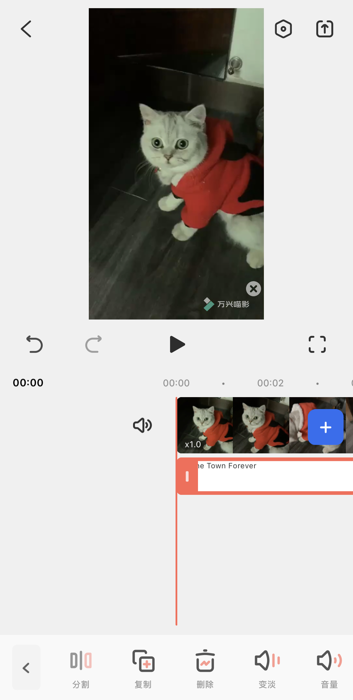 如何制作宠物视频