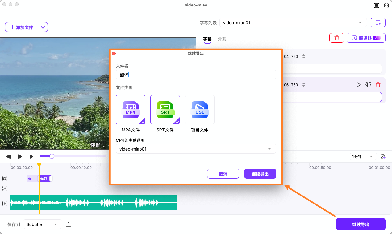 打开或保存字幕