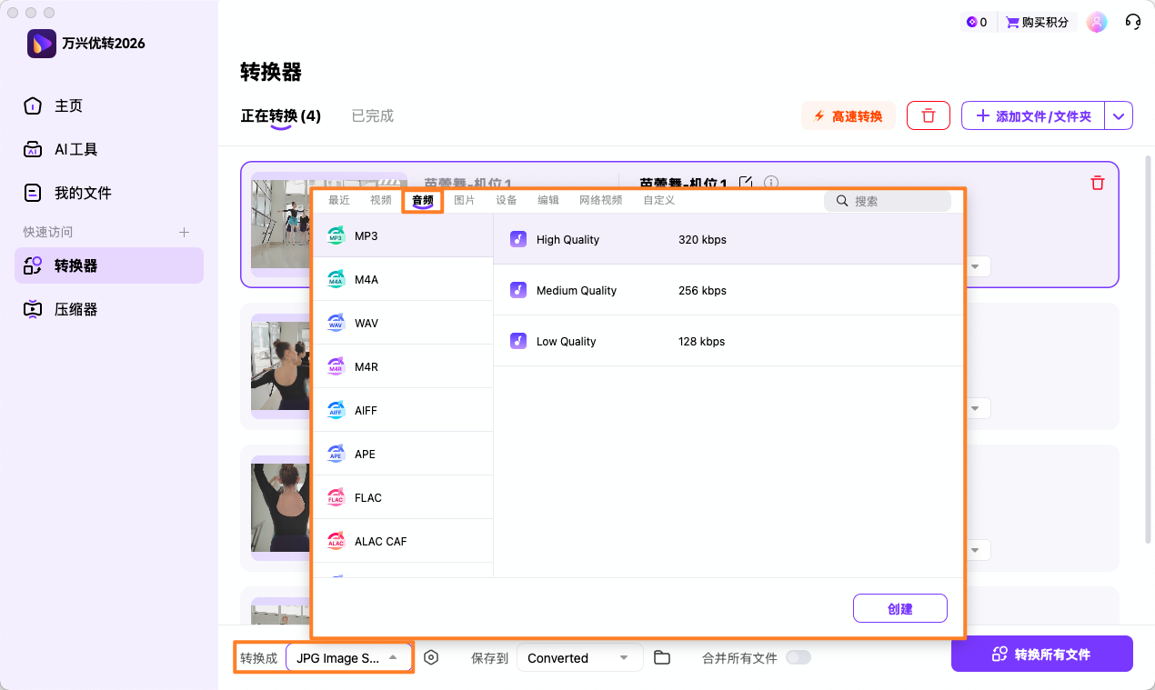 选择所需的音频格式