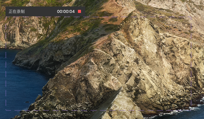 stop video recording mac