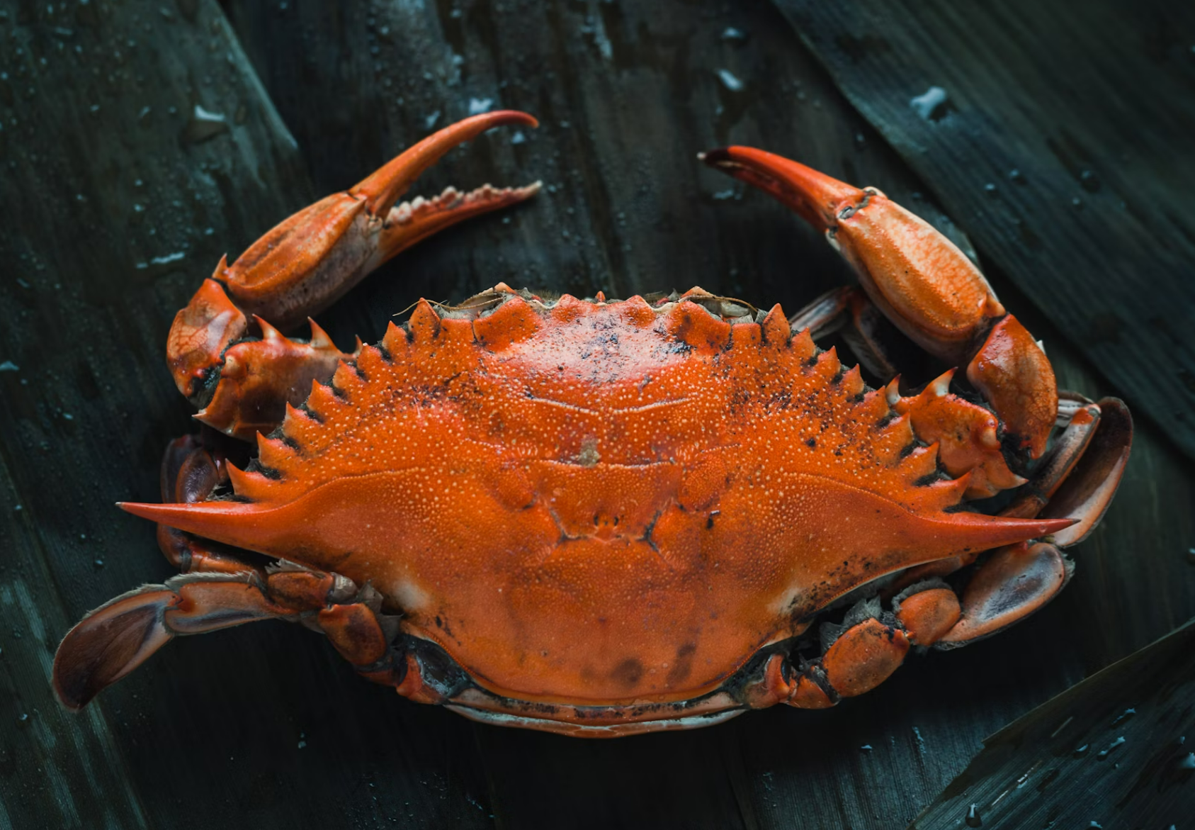 美食视频怎么剪辑