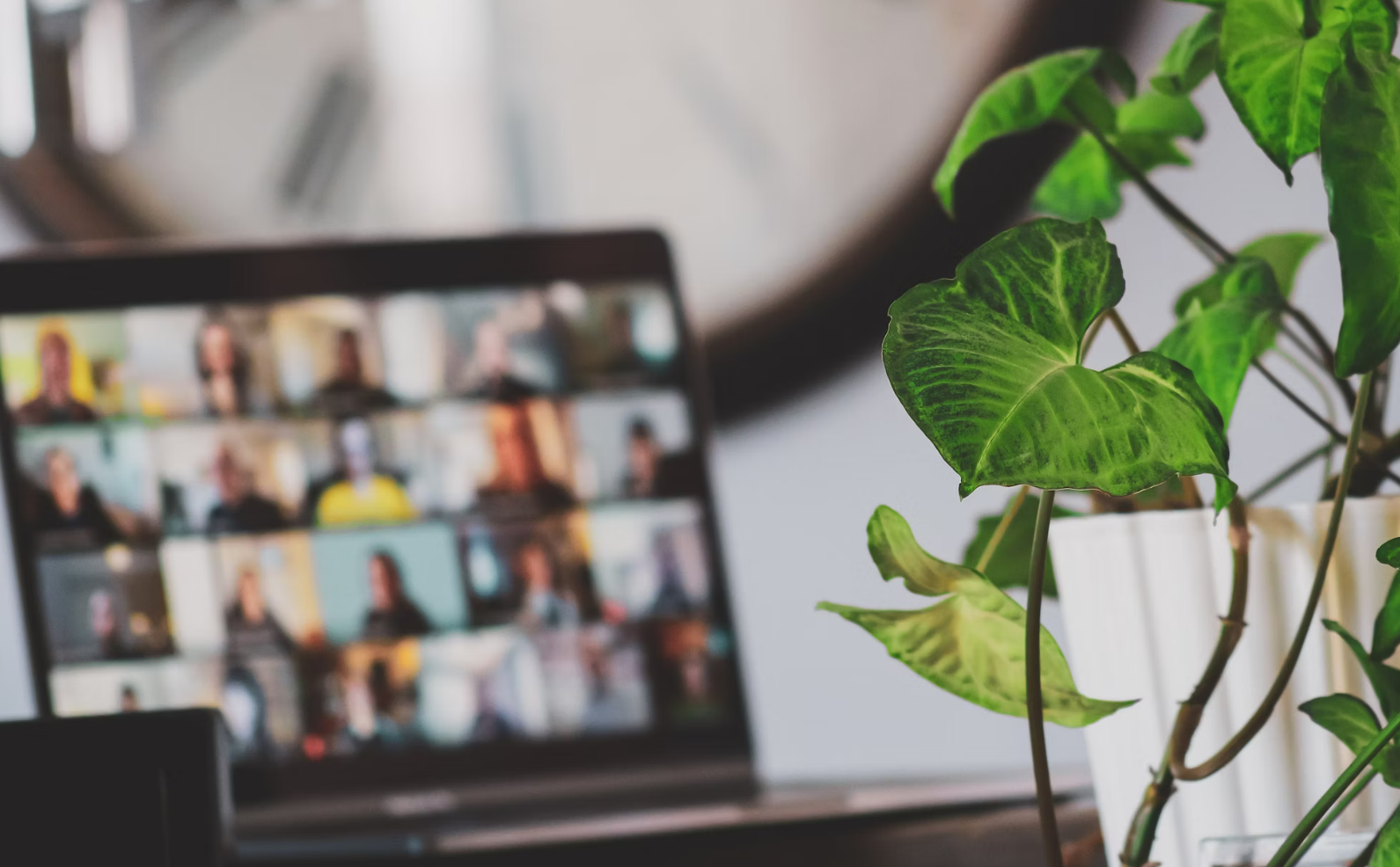 明确培训目标和内容